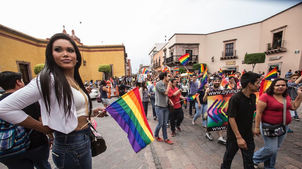 Se busca que se impulsen leyes en diversas materias enfocadas a esta comunidad. (Cortesía)
