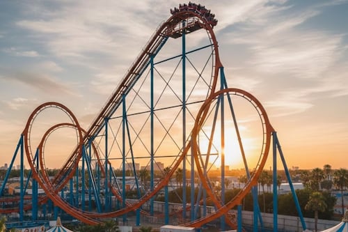 Muere hombre con discapacidad tras subir a montaña rusa en Universal Orlando Resort