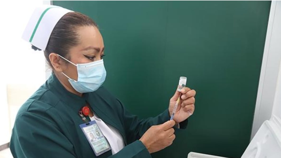 IMSS campaña de vacunación 2024