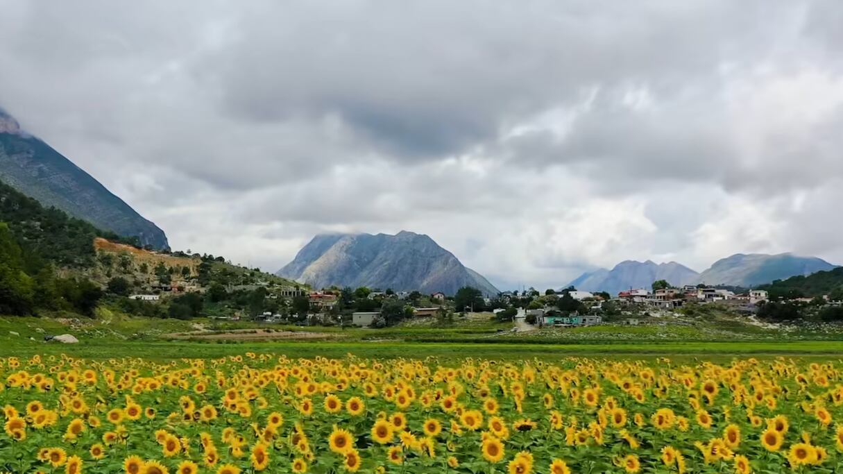 Además de disfrutar de la belleza de los girasoles se puede pasar una noche dentro de una cabaña en plena Sierra