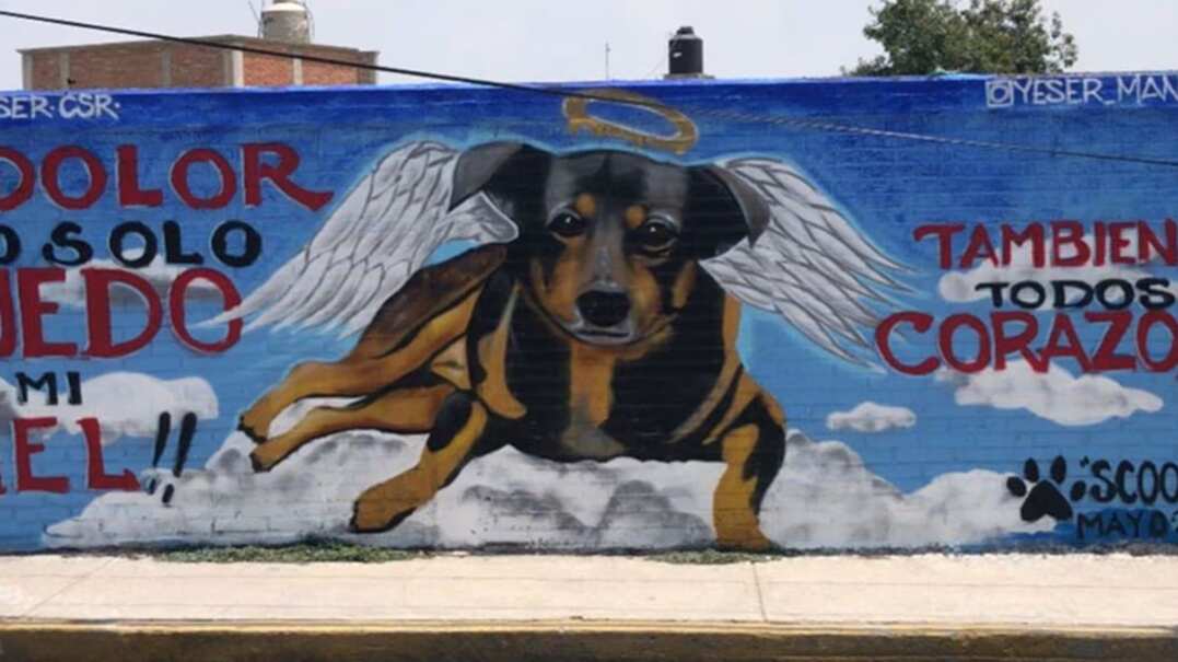 El mural fue pintado junto a la carnicería donde Scooby fue atacado.