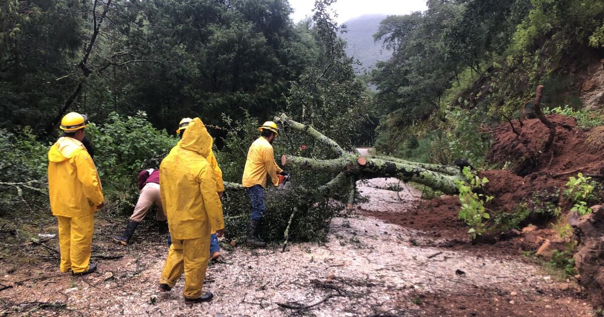Lluvias causan daños y desalojos en Sierra Gorda – Publimetro México