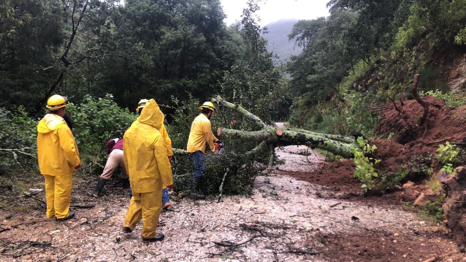 Las lluvias en la Sierra Gorda de Querétaro
