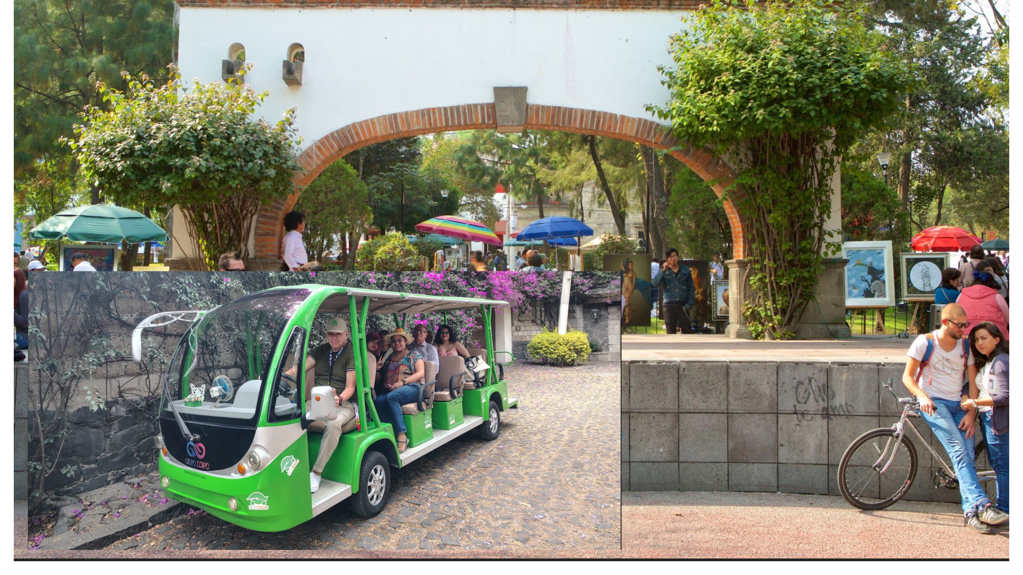 Ecotur en el Barrio de San Ángel