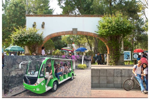 Celebra el Día de las Madres con un tour ecológico por San Ángel