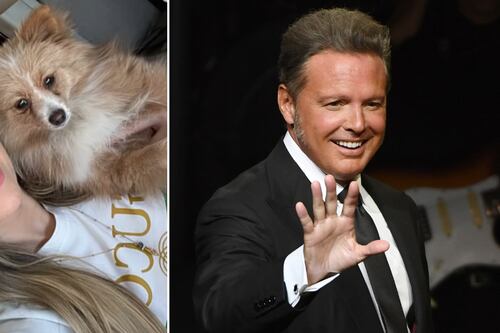 Popular youtuber uruguayo rechazó conocer a los hijos de Luis Miguel y Aracely Arámbula