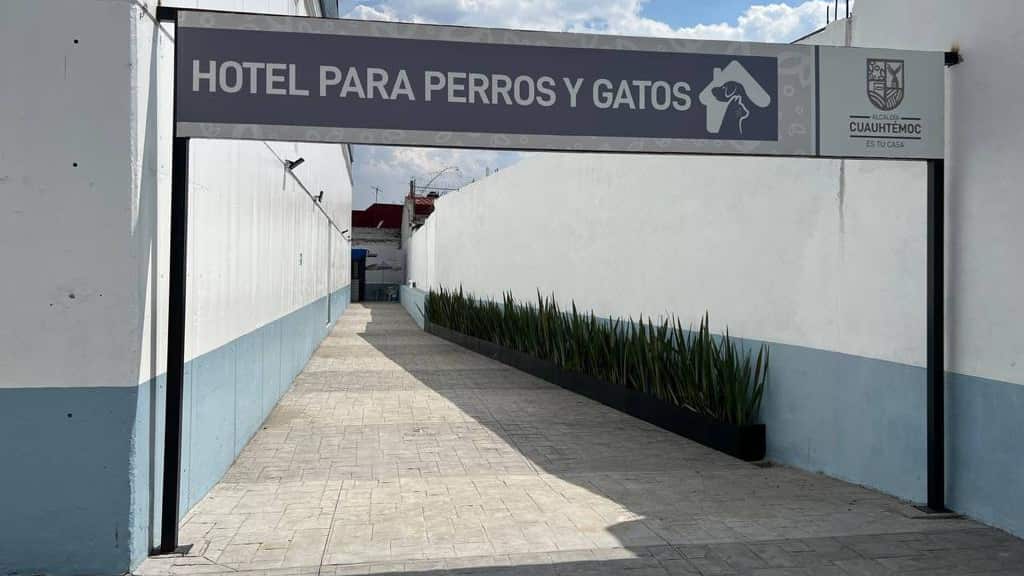 Hotel perro y gatos