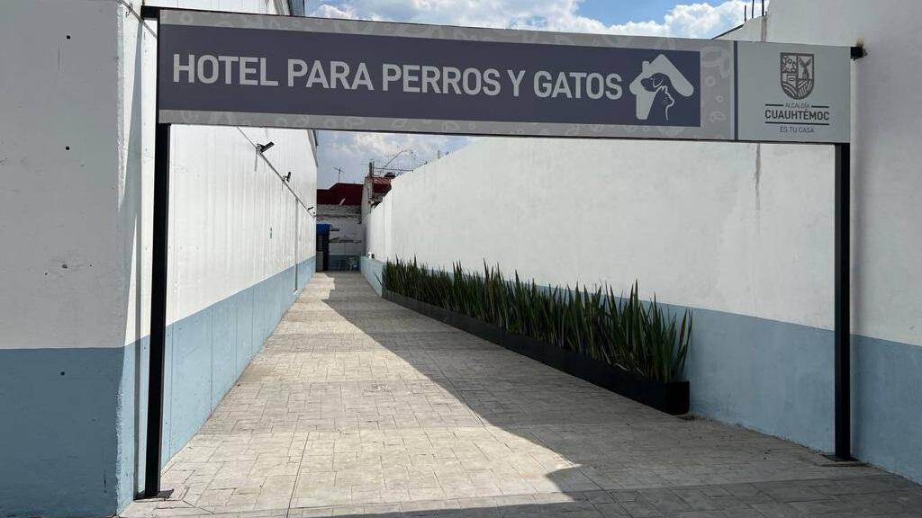Hotel perro y gatos