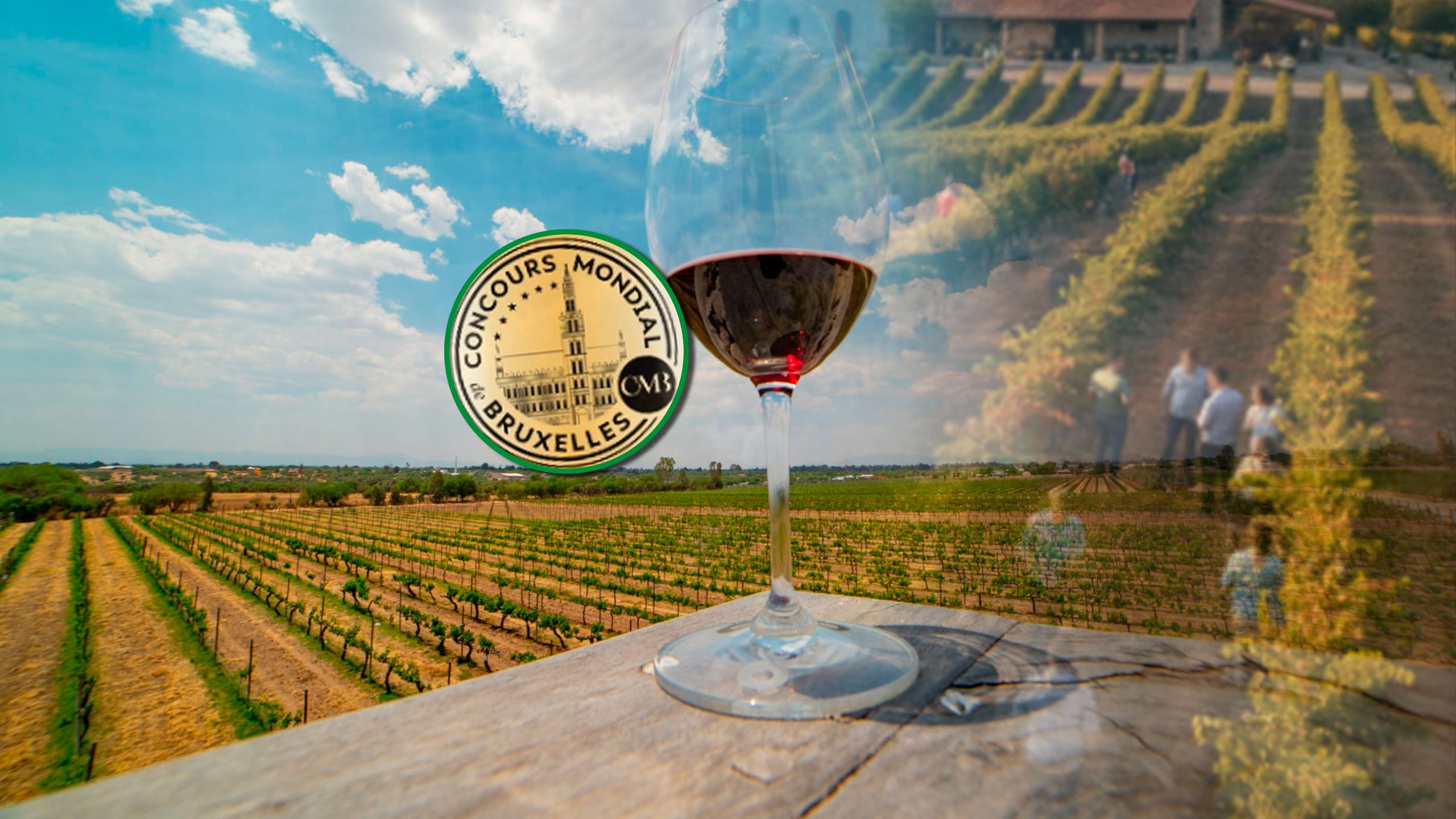 Guanajuato destaca en un concurso internacional de vino al obtener 36 medallas con 11 bodegas locales, incluyendo 4 Gran Oro y 15 Oro