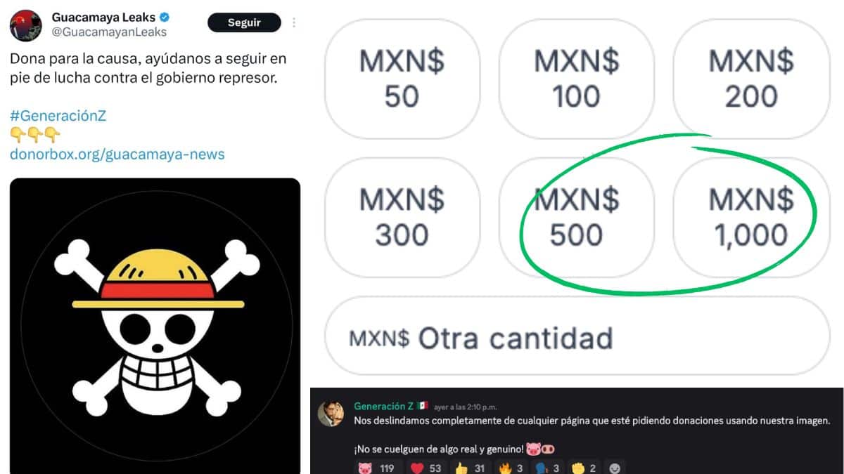Falsa cuenta de Guacamaya Leaks pide donaciones a nombre de Generación Z México; movimiento se deslinda