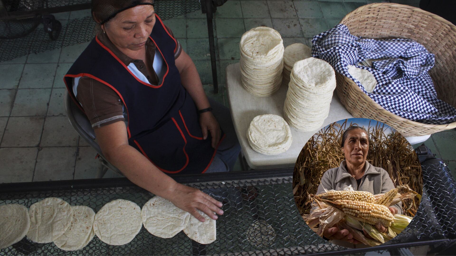 La sequía, cambio climático y la falta de políticas que incentiven la producción hicieron que el país perdiera la autosuficiencia alimentaria en maíz.