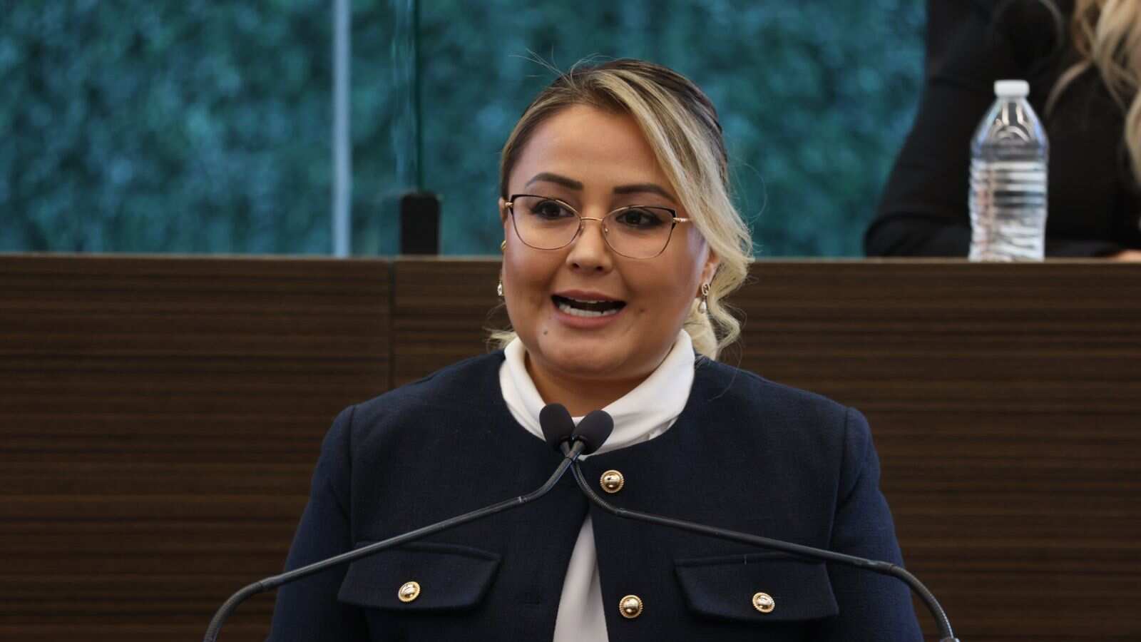 La diputada del PT, Claudia Díaz Gayou