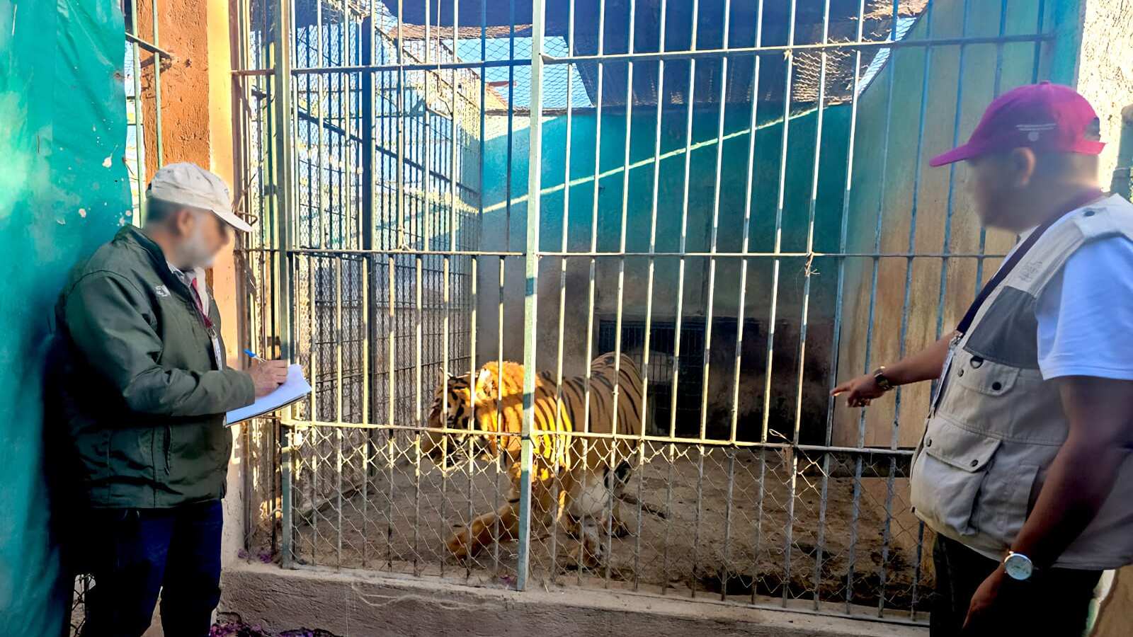 Inspección de Profepa a zoológico Wameru.