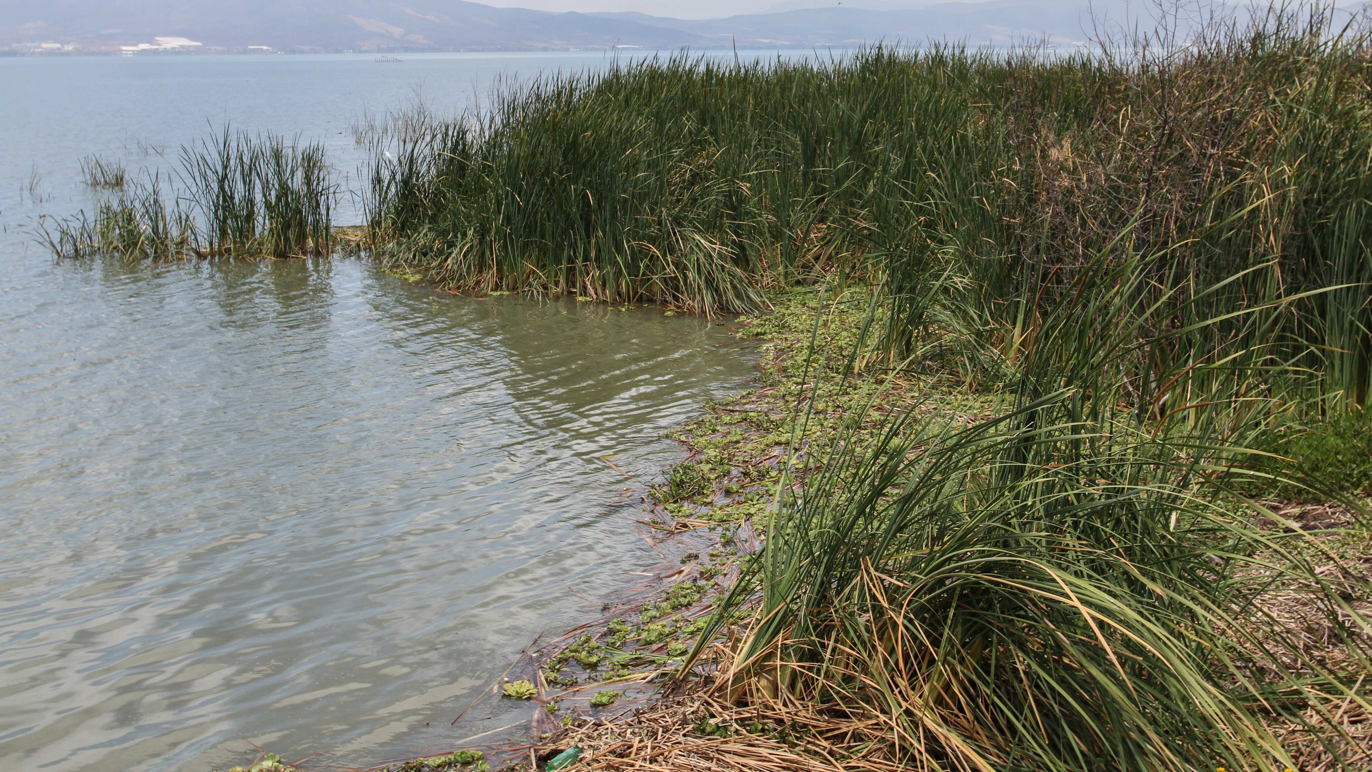 Lago de Chapala es el más grande del país y es la principal fuente de agua potable para Guadalajara