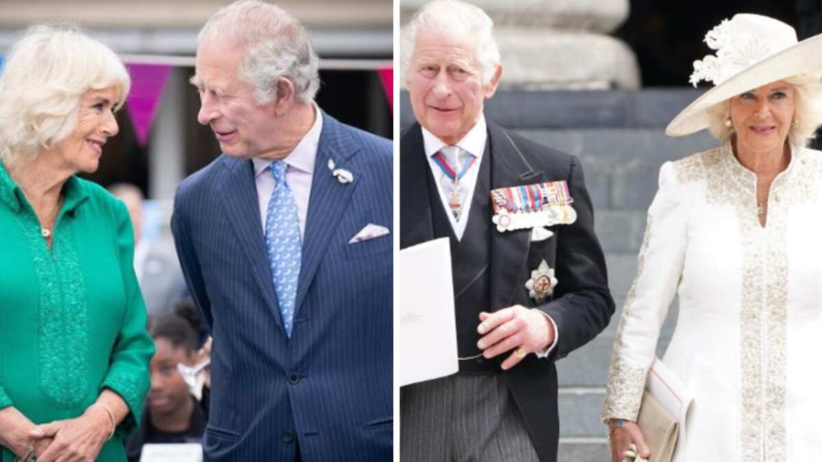 Camilla Parker y el rey Carlos habrían tenido un hijo cuando eran jóvenes