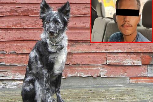 Detienen a sujeto por comerse un perro con frijoles y tortillas en Ciudad Juárez