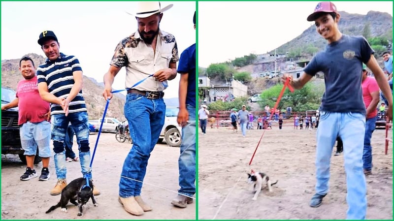 Identifican a responsables de maltrato animal en Xichú