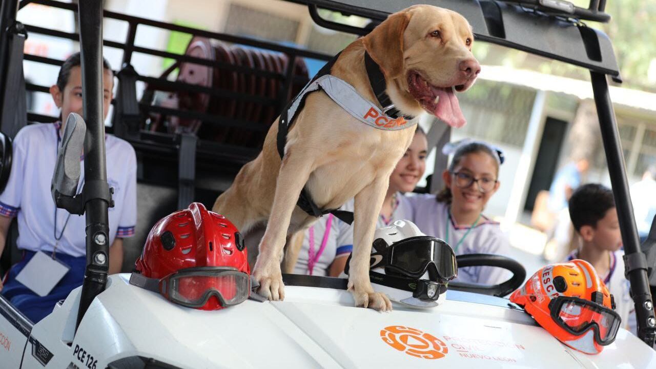 Joe, de la manada K9, fue la sensación entre los chicos.