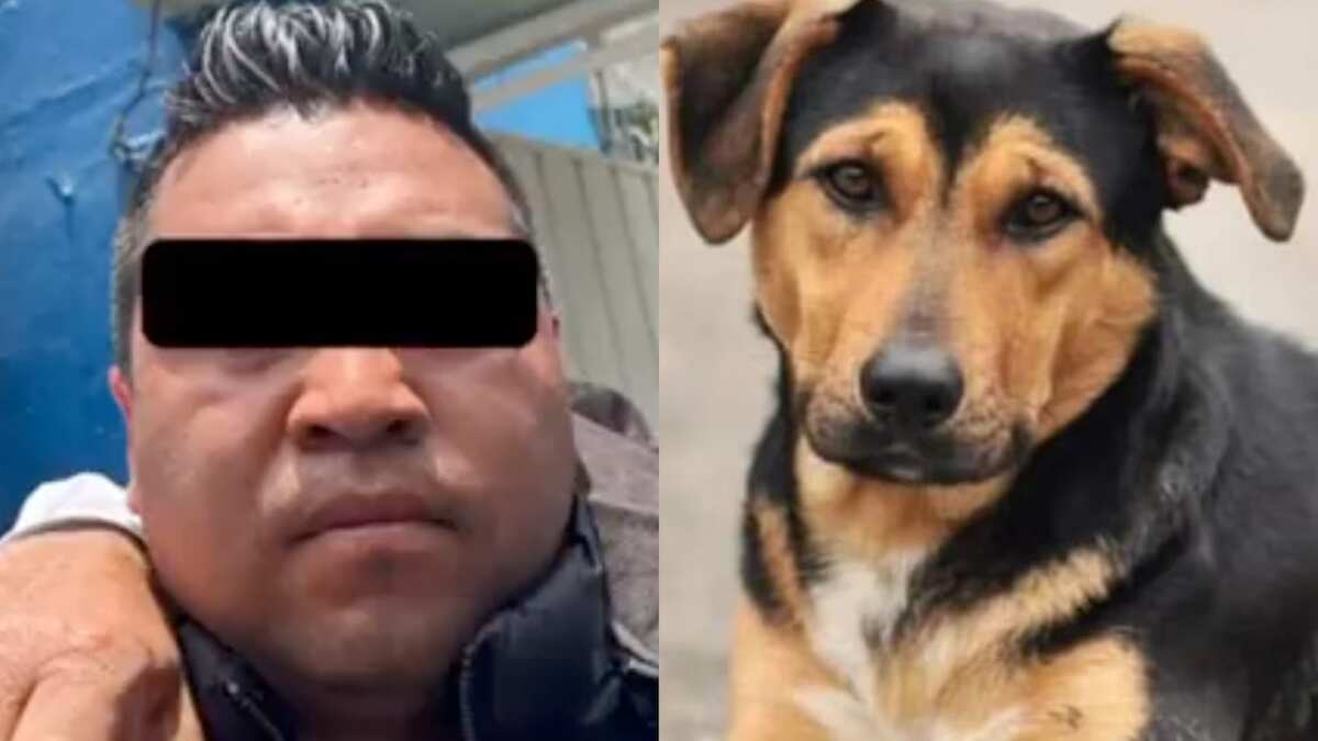 Enfrenta una acusación por el delito de homicidio calificado en grado de tentativa. (Especial)