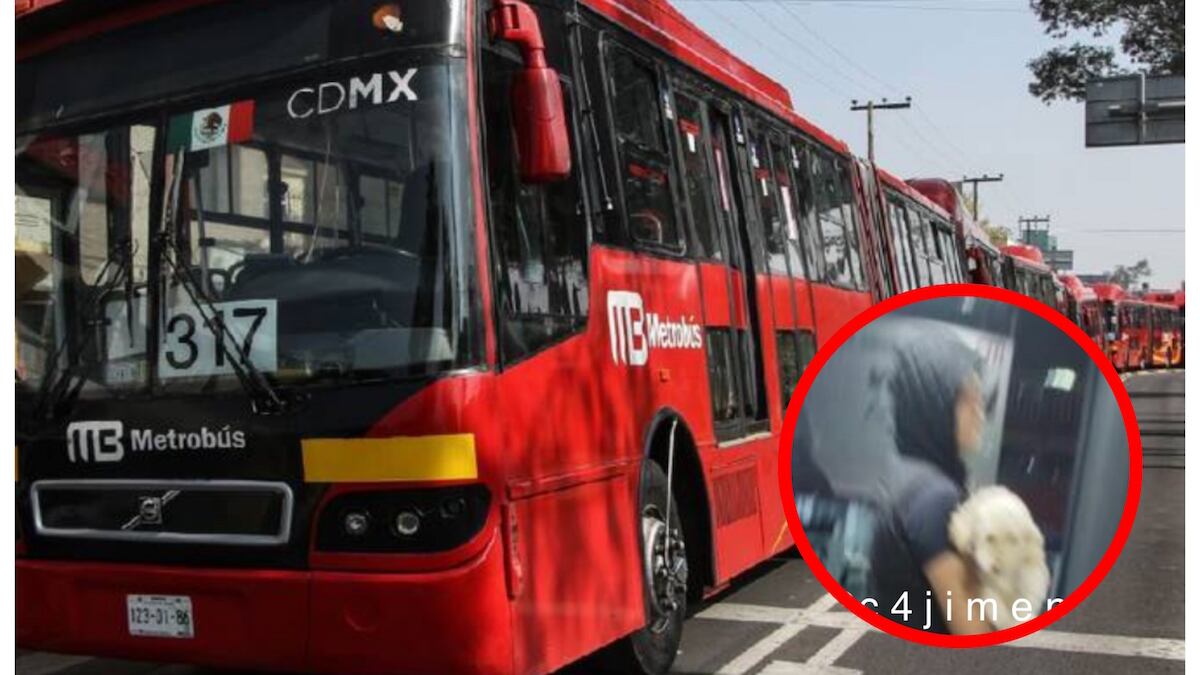 La policía fue agredida por impedir el paso con la mascota. (Especial)