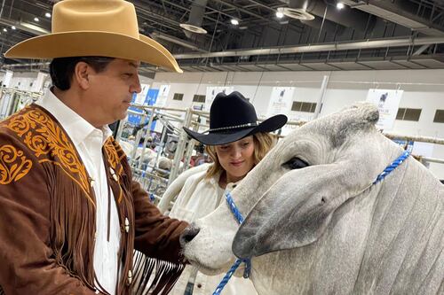 Con protección en mano, García Cabeza de Vaca demandará a quienes le causaron “tanto daño”