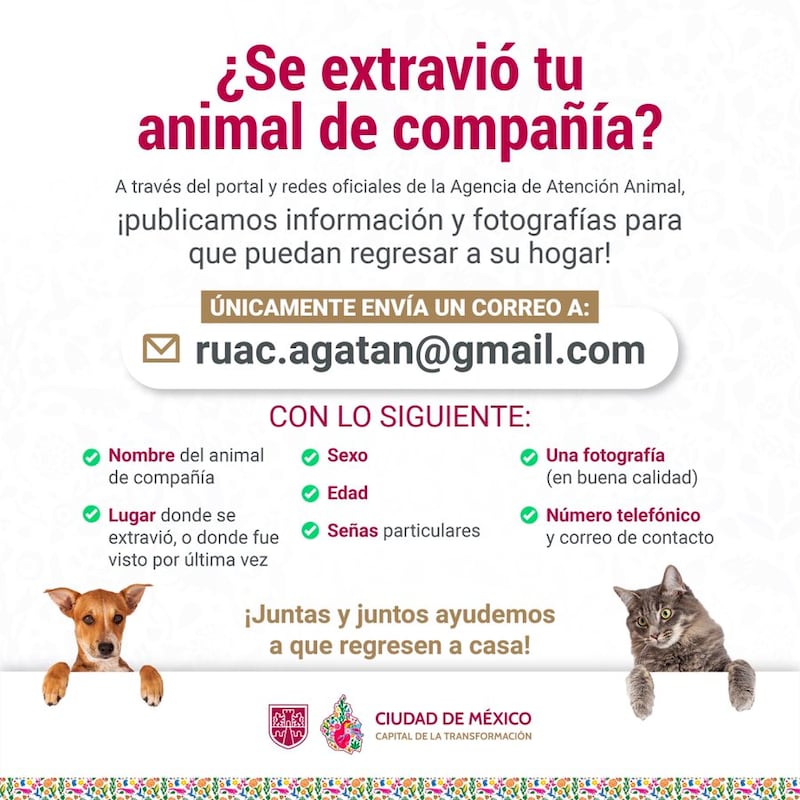 Agatan extravió de mascota