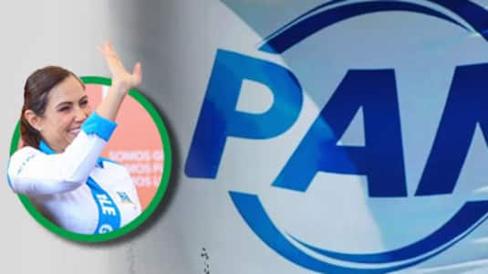 Críticas al interior de sus partido ha generado este polémica.