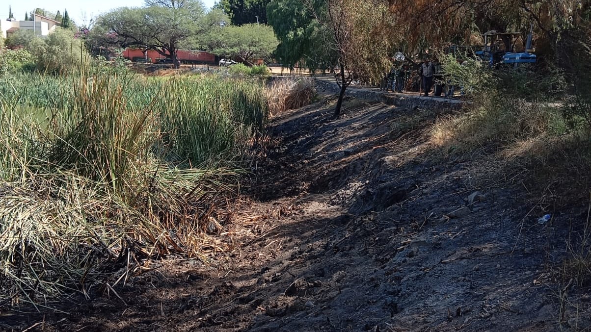 Un incendio consumió un área de 150 metros de Tule.