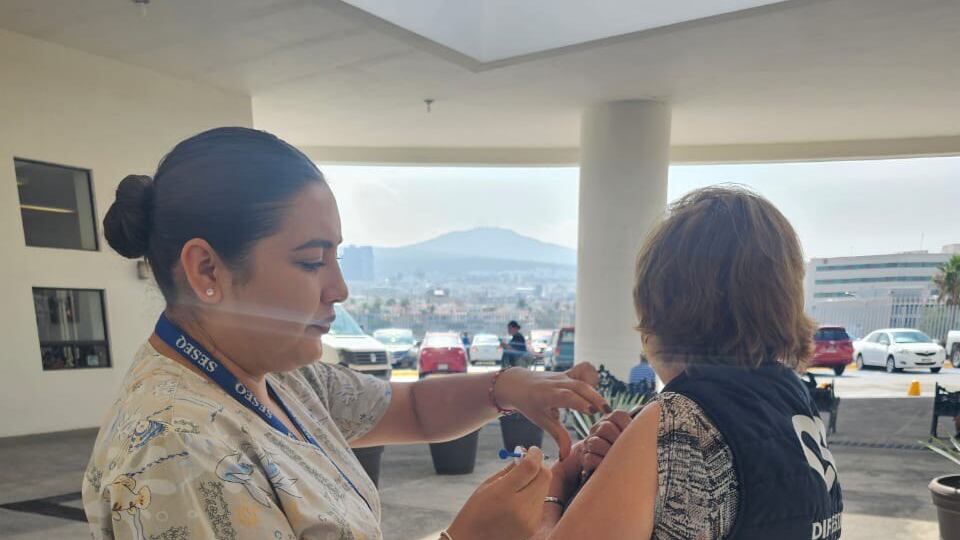 Vacuna contra la influenza.