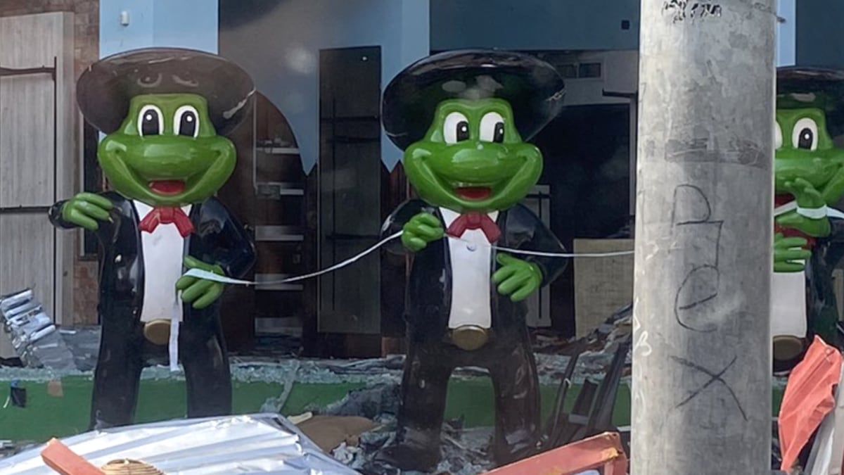 ranas-señor-frogs-acapulco-huracán-otis