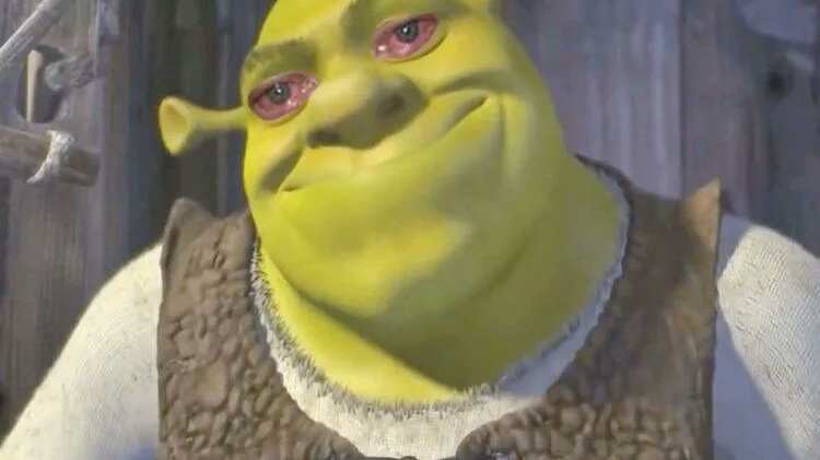 memes eclipse solar 2023