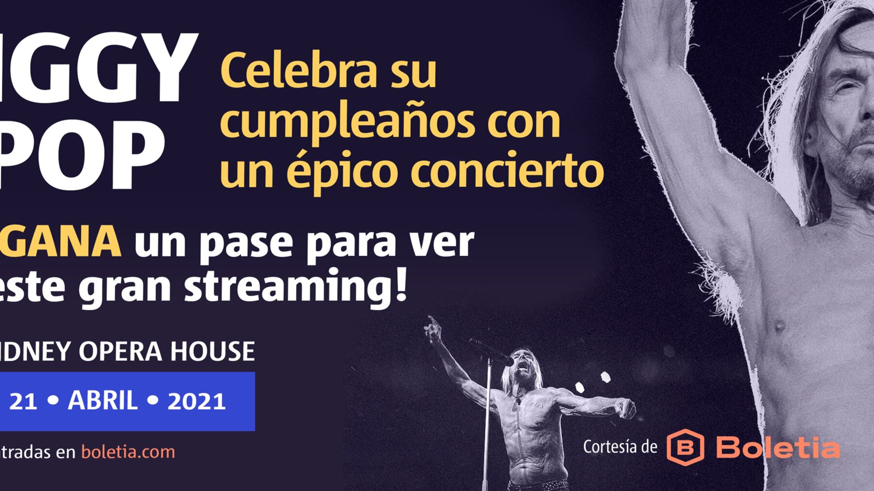 Concierto Iggy Pop