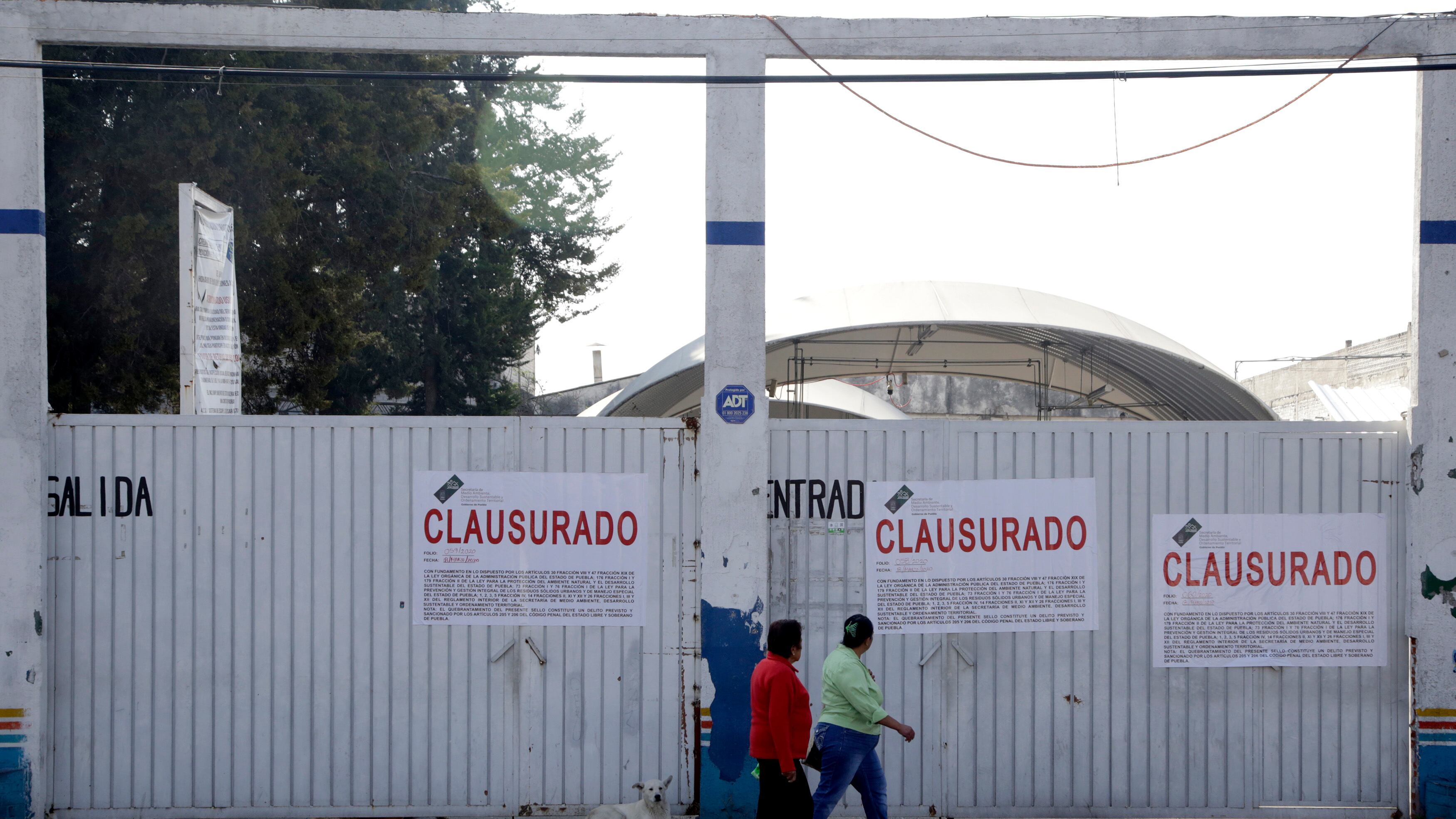 Urgen reactivar el programa de verificentros en el estado