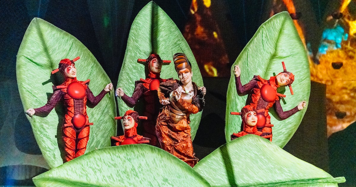 ¡OVO de Cirque du Soleil llega a México con una explosión de acrobacias y color! Fechas, precios y dónde verlo