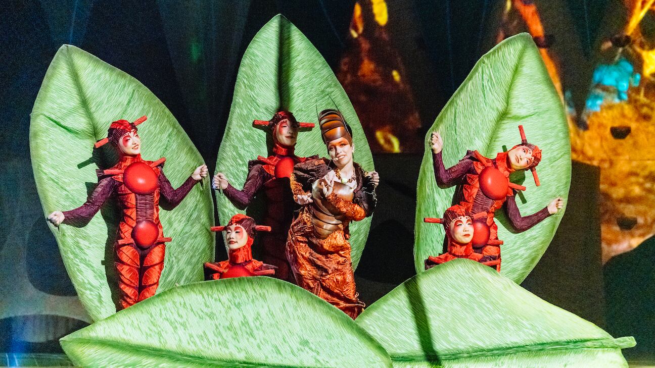 Casi 20 años de temporadas en México