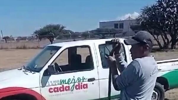 El video se hizo viral en redes sociales.