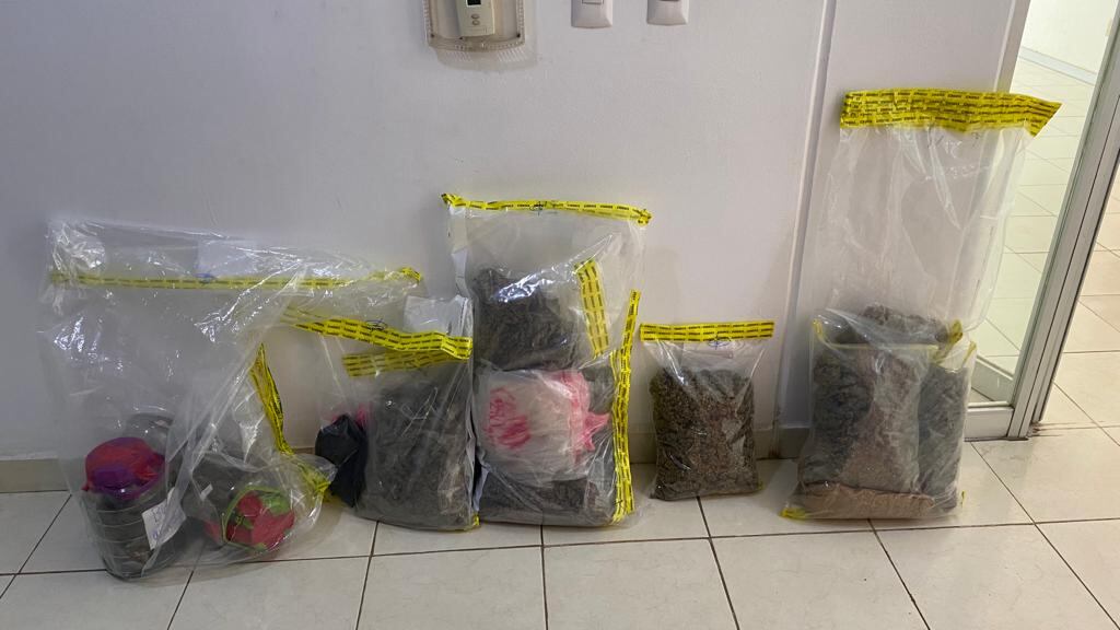 Gansitos, pelón pelo rico con marihuana asegurados en Oaxaca