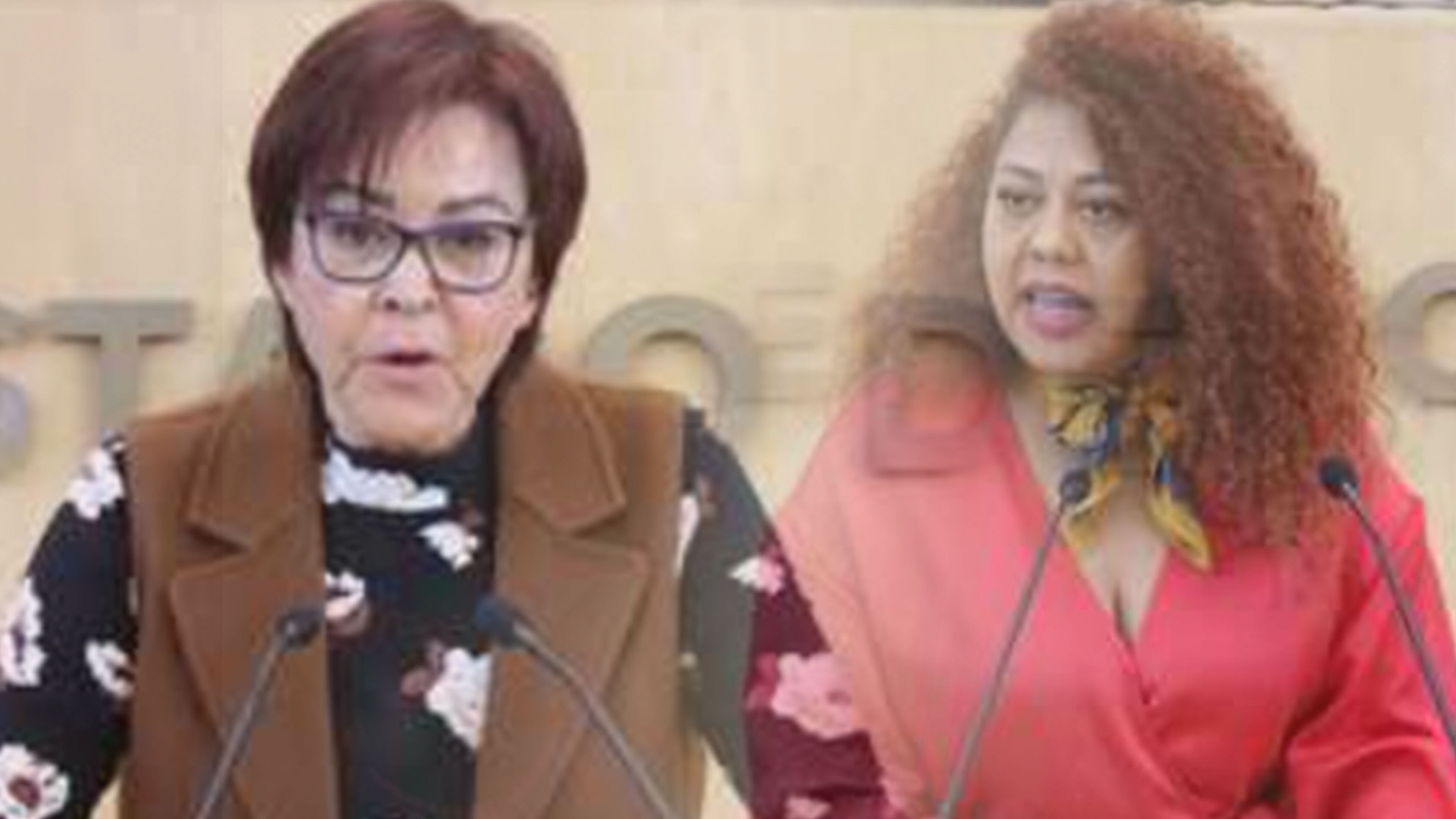 Partidos de oposición se ponen de acuerdo en la difusión de las obras de la mujeres escritoras del país.