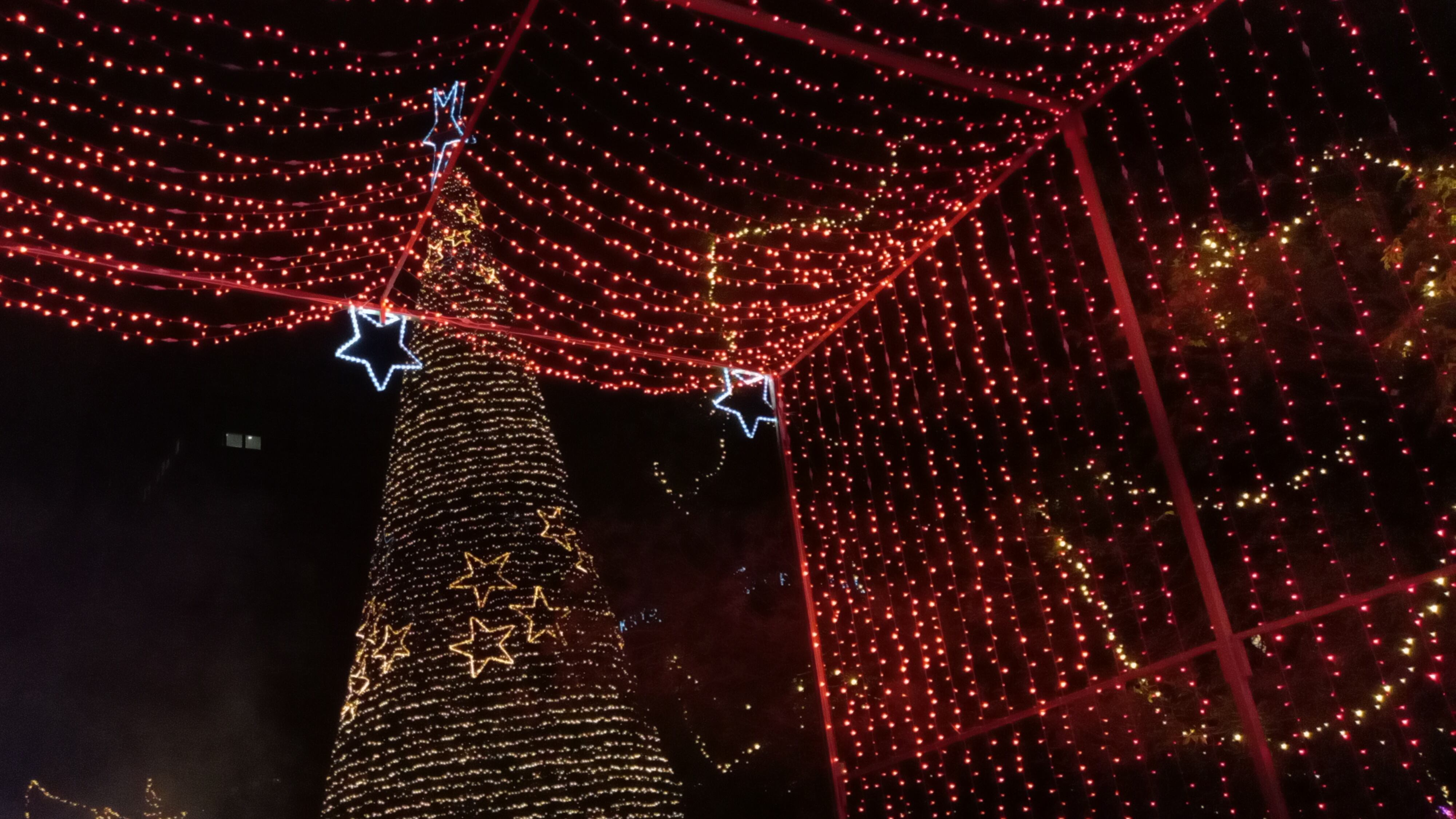 Además de los juegos de luces el pino tiene rayo láser que lo vuelve más atractivo.