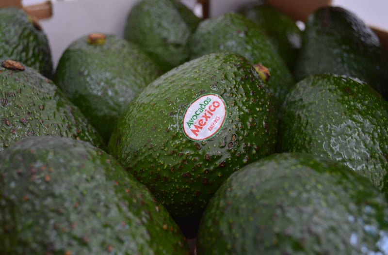 Aguacate.