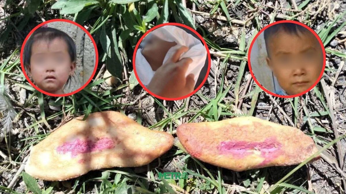 Hermanitos mueren en Chiapas tras consumir pan con veneno para perros callejeros; lo que se sabe del caso