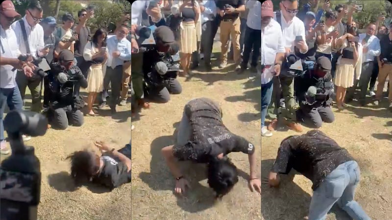 ¿Qué sucedió en la reunión therian en Ciudad Universitaria? Esto fue lo que se vio