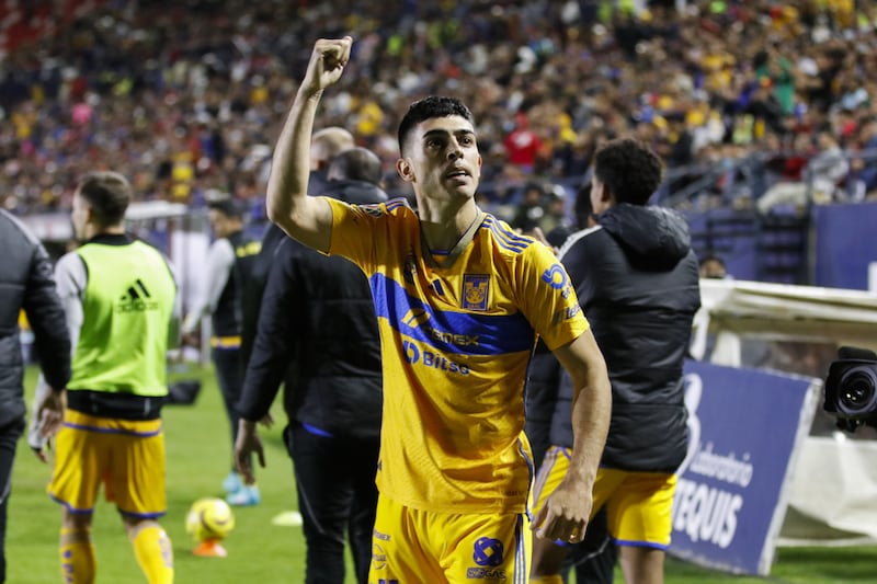 Tigres, Juan Brunetta