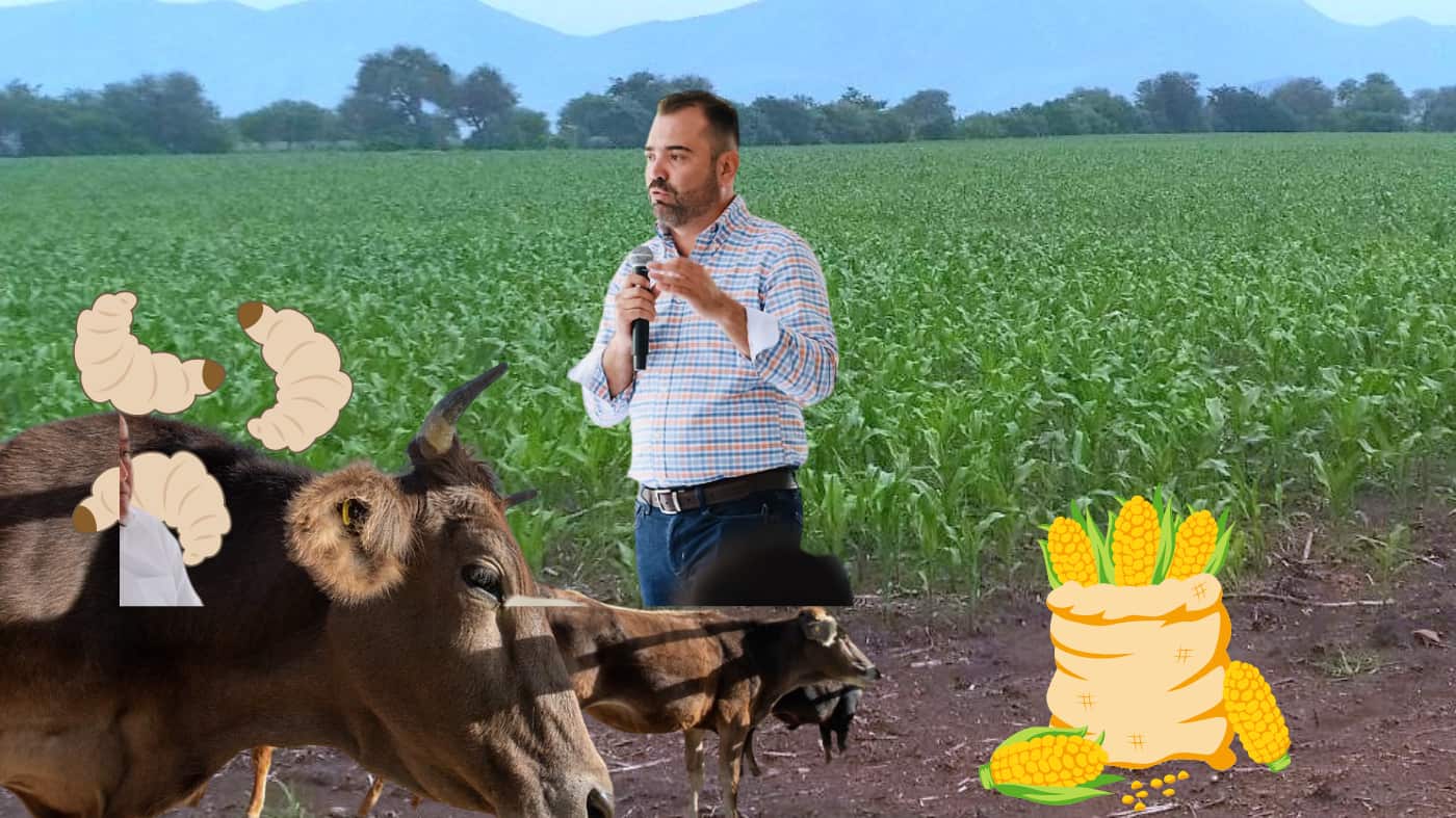 CORTESÍA/ ESPECIAL/ CANVA