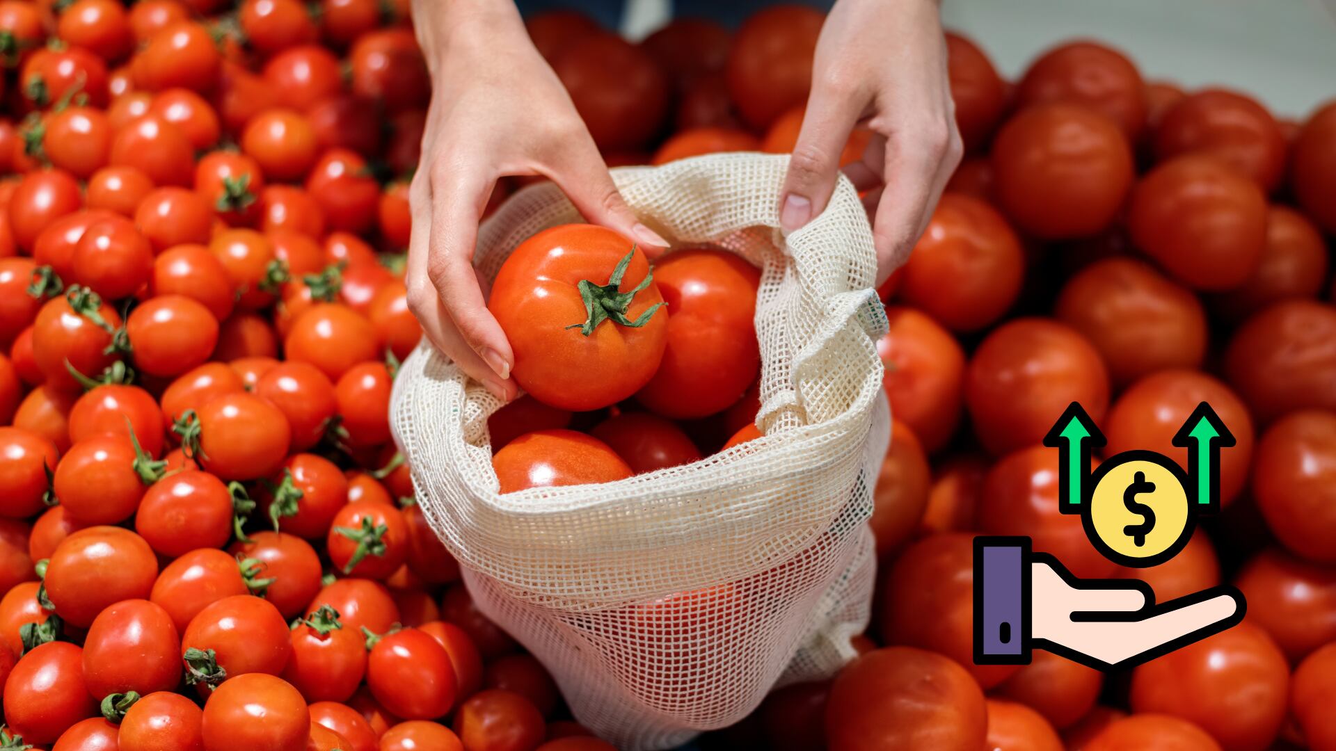 El precio de la cátsup, salsas instantáneas y alimentos procesados de importación subirá alrededor de 10% en México.