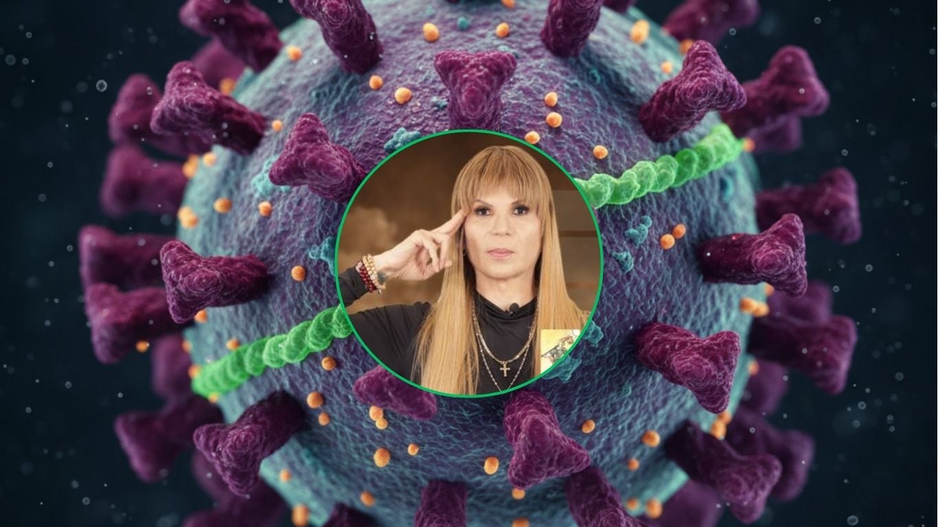 Virus Nipah en México