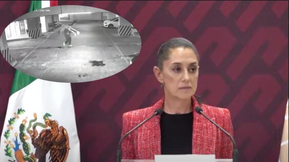 Claudia Sheinbaum, jefa de gobierno. Foto: Especial