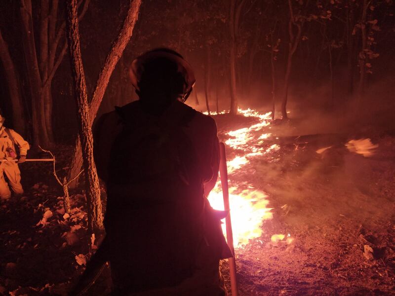 La Fiscalía de Jalisco ya investiga al presunto responsable de provocar este incendio.