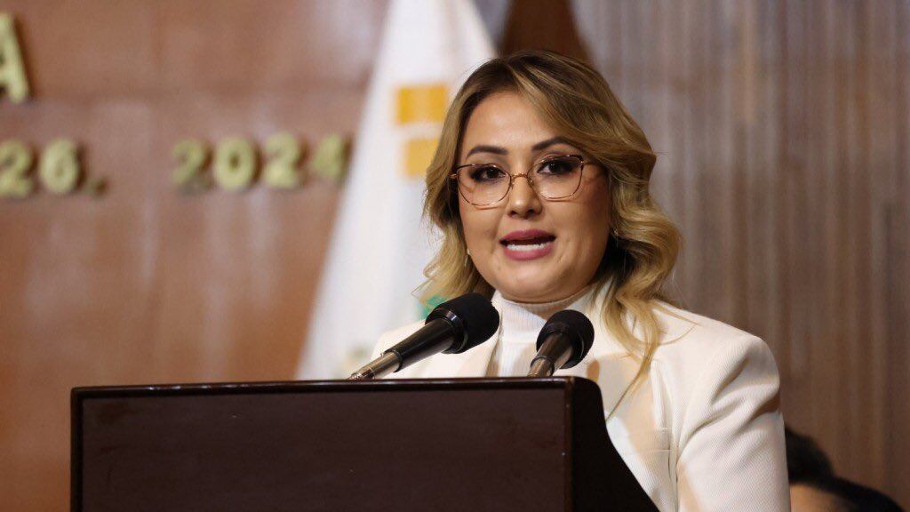 Diputada del PT Claudia Díaz Gayou.