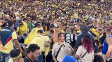 Pelea Aficionados del América